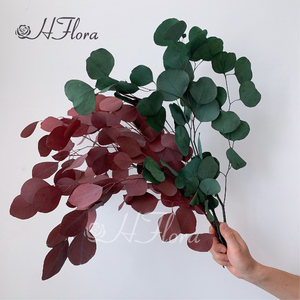 زفاف عيد الميلاد عيد الهالويون زينة مهرجان الخضرة أوراق الشجر بالجملة باقة زهور مجففة أوراق الأوكالبتوس المحفوظة - Product Image 5