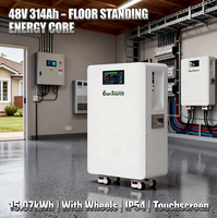 Baterai Lithium 48V 314Ah 15kWh untuk Sistem Penyimpanan Energi, Terpasang di Dinding dengan Roda