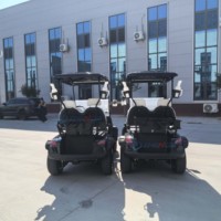 Vente en gros de nouvelle voiturette de golf électrique à deux places, à traction avant, homologuée pour la route, personnalisée, tout-terrain