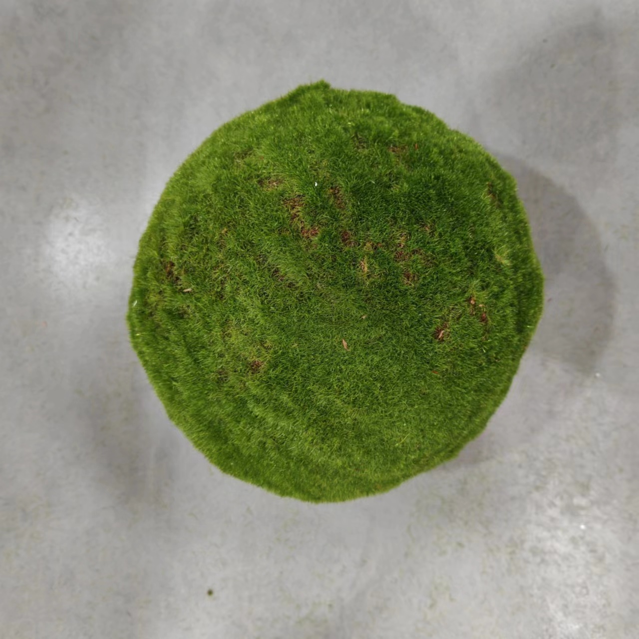 20cm
