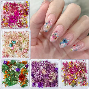 Flower Art 3D Nail Sticker <span class=keywords><strong>Manicura</strong></span> con caja transparente Embalaje Nail Art Decoración Natural Falso Seco <span class=keywords><strong>Flor</strong></span> Nail Art Decoración - Product Image 4