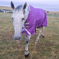 Nouvelle arrivée : couverture d'hiver pour cheval, respirante, avec col en fourrure, imperméable, en polyester.