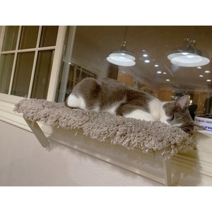 Plataforma de Madera para Gatos para Ventana, 20x60cm 30x60cm, Cama Rectangular Elevada para Gatos, Color Madera Natural, Área de Observación y Baño Solar - Product Image 5