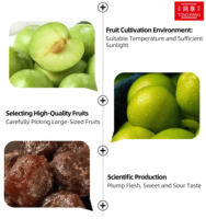 Prix direct usine – Prunes entières fraîches et saines de marque TONGXIANG, saveur naturelle, emballées individuellement, 100 % naturelles, prêtes à consommer