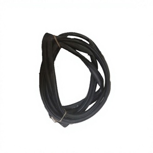 Joint d'étanchéité de fenêtre de porte de camion en caoutchouc LPO LPT pour TATA 1318 T - Perlage 10 m OEM 405469107701 Pièces automobiles de cabine - Product Image 1
