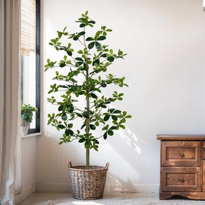 Árbol de <span class=keywords><strong>Olivo</strong></span> Artificial al por Mayor para Tiendas de Muebles y Salas de Exhibición de Electrodomésticos, Bonsáis Artificiales - Product Image 2