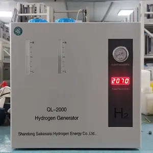 QL-2000 2 लीटर प्रति मिनट हाइड्रोजन गैस पीईएम हाइड्रोजन जनरेटर CE प्रमाणीकरण के साथ