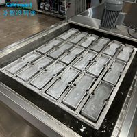 Machine à glaçons industrielle à grande capacité refroidie par air avec composants de moteur efficaces Machine à glaçons industrielle pour les fruits de mer