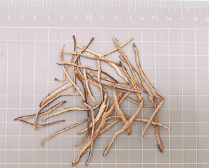 सूखे चमका शीला मशरूम का टुकड़ा थोक मूल्य 1 मिमी मुक्त मशरूम टुकड़ा शीटाक मशरूम कटा हुआ - Product Image 2