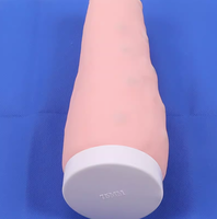 Maniquí de Brazo de Silicona para Ciencias Médicas, Simulación de Inyección Intradérmica e Intravenosa, Equipo de Laboratorio Desechable para Inyecciones, CE/ISO