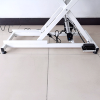 USMILEPET Fabricant professionnel Nouveau design Table de toilettage pour animaux de compagnie pour Salon d'animaux de compagnie Levage électrique LED Chien Chat Toilettage Fournitures