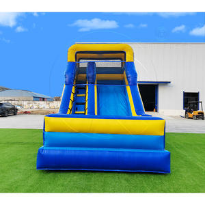 Toboggan gonflable double voie Sunny avec entrée jaune vif et piste de glisse bleue pour des fêtes en plein air et des moments d'excitation au parc de jeux - Product Image 2