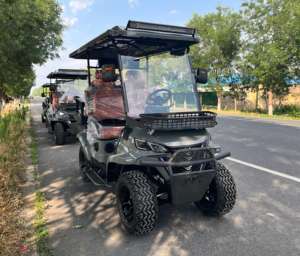 <span class=keywords><strong>Voiture</strong></span> de golf électrique 3-4 places, <span class=keywords><strong>voiture</strong></span> classique avec un puissant moteur AC de 3 kW, contrôleur de moteur électrique, <span class=keywords><strong>voiture</strong></span> de golf électrique - Product Image 4