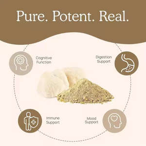 OEM Private Label Nootropics Cérebro Suplemento Reishi Cogumelo Extract Cápsula Leões Juba Cogumelo Cápsulas - Product Image 4