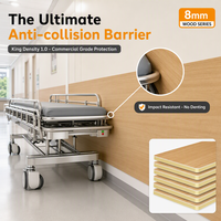 Panneau anti-collision WPC pour hôpital, 8 mm, WPC massif, ENF, écologique, ignifuge, solution de projet, couleur personnalisée