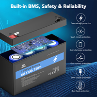 6v 12ah batterie de vélo électrique à cycle profond trois roues Escooter batterie 6v Lifepo4 batterie pour Animal Ride