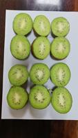 2026 Nieuwe oogst verse kiwi's, zoet, sappig, groen goud, premium exportkwaliteit, groothandelsprijs, China