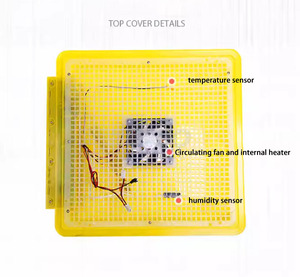 Incubadora de 96 huevos con integración de guardería automática con marcado CE de alta calidad <span class=keywords><strong>Howard</strong></span> más nueva - Product Image 6