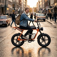 Bicicleta Eléctrica de Neumáticos Anchos y Resistentes, Bicicleta Eléctrica Versátil para Senderismo en Zonas Rurales y Relajación al Aire Libre
