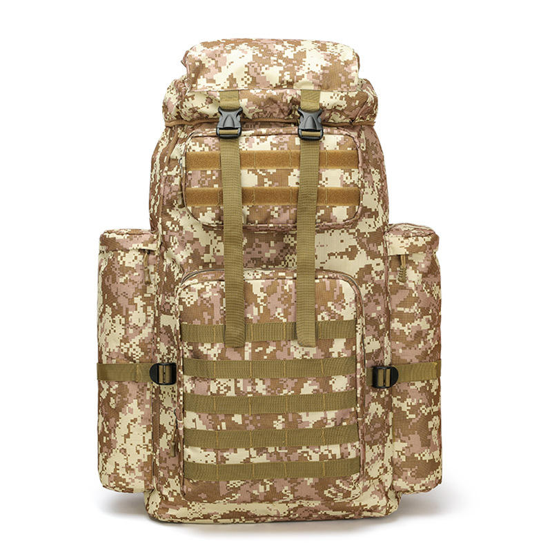 Camouflage du désert