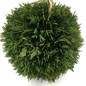 工厂批发人工植皮户外球植物雪松球