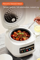 Cuisinière à riz électrique intelligente numérique 5L en gros, écologique, contrôle tactile, fonction multi-cuisson antiadhésive pour la maison et les camping-cars