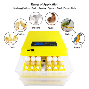Nanchang alex 96-incubadora de huevos, 12V/220V, máquina para incubar huevos de gallina - Product Image 4