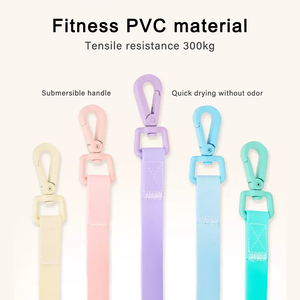 Harness Anjing Custom Logo Besar, Dapat Disesuaikan, Anti Tarik, Set Kalung & Tali Anjing Biothean Tahan Air PVC, Model Step-in - Product Image 4