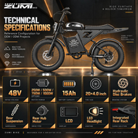Vélo électrique ZUMI OEM ODM 1000W à pneus larges, 48V 15Ah, écran LCD, vente en gros, fournisseur de vélos électriques pour la plage