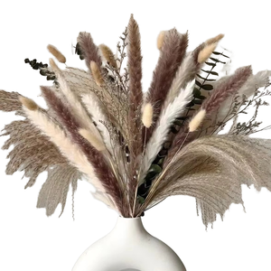 Hierba de Pampas Estilo Bohemio, Hecha a Mano, Ecológica, Decoración para el Hogar, Bodas, San Valentín, Día de la Madre, Graduación - Product Image 1