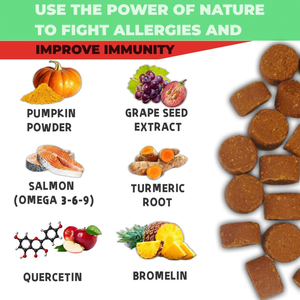 OEM Soulagement Organique Des Allergies Doux À Mâcher pour Chiens Immunitaire Soutien Digestif Réduire L'anxiété Peau Manteau Santé Friandises - Product Image 2