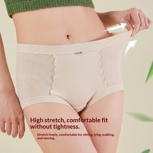 Slip da <span class=keywords><strong>donna</strong></span> a vita alta in pizzo, in fibra di bambù 10A, con interno antibatterico e traspirante, <span class=keywords><strong>taglie</strong></span> <span class=keywords><strong>forti</strong></span> - Product Image 2