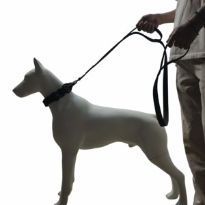 Luxury Aluminum <b>Collar</b> Towing Set Nylon Wear Resistant With Padded Dog Supplies Hiking Training <b>Pet</b> Supplies - Product Image 6