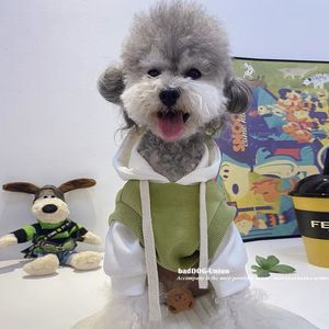 مصمم فاخر قطن صديقا للحيوان الأليف ملابس أنيقة من الخيزران صوف بلوزات بغطاء رأس معاطف الكلاب والقطط إكسسوارات مخصصة - Product Image 4