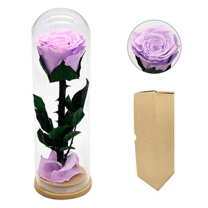 Rosa Preservada Hecha <span class=keywords><strong>a</strong></span> Mano en Cúpula de Cristal, Flores Eternas Coloridas para Boda, San Valentín, Dí<span class=keywords><strong>a</strong></span> de la Madre - Directo de Fábrica - Product Image 5