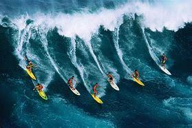 <span class=keywords><strong>Aletas</strong></span> de natación de fibra de carbono puro Buceo libre y apnea <span class=keywords><strong>Aletas</strong></span> de <span class=keywords><strong>arena</strong></span> <span class=keywords><strong>Aletas</strong></span> de natación de fibra de carbono de buceo largo - Product Image 4
