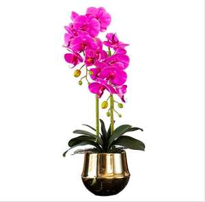 Flor Artificial de alto grado, al por mayor, en maceta decorativa, flor en maceta de <span class=keywords><strong>Dendrobium</strong></span> con toque Natural - Product Image 6