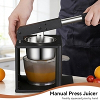 Presse-agrumes manuel portable écologique en métal pour fruits et légumes, presse-citron et lime, vente chaude