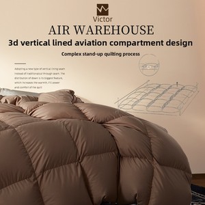 Victor Single Quilt 90 White Duck Winter Quilt <span class=keywords><strong>Patchwork</strong></span> <span class=keywords><strong>Patchwork</strong></span> pour Printemps Été Chambre climatisée Usage domestique <span class=keywords><strong>Quilting</strong></span> - Product Image 5