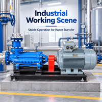 Pompe centrifuge horizontale multi-étages à haute pression série North One DDG pour le transfert de boues industrielles et de liquides miniers