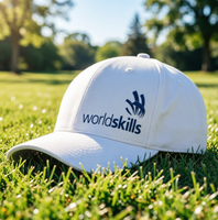 Gorra de Béisbol con Logotipo Personalizado, Gorra Deportiva de Algodón Estructurada de 6 Paneles para Promoción de Eventos y Uso Diario Informal