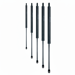 C 400 Carrera F 900 N CILINDRO OLEOPNEUMÁTICO (VO40/090) - Product Image 1