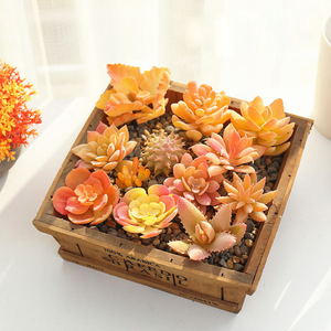 Teste di <span class=keywords><strong>Fiori</strong></span> in Plastica Floccata Serie Gialla, Accessori Creativi per Piante <span class=keywords><strong>Succulente</strong></span>, Decorazioni per Pareti e Casa - Product Image 4