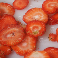 Automatische High Speed Fruit Chips Snijmachine Aardbei Snijmachine Aardbei Chips Maken Machines