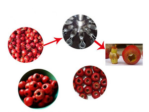 Tốt Nhất Bán Ngày Hạt Giống Stoner Máy - Product Image 4