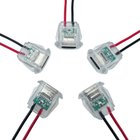 Hot Selling Transparent Typ C 2PIN Wasserdichte Steckdose für Haushalts geräte mit Licht