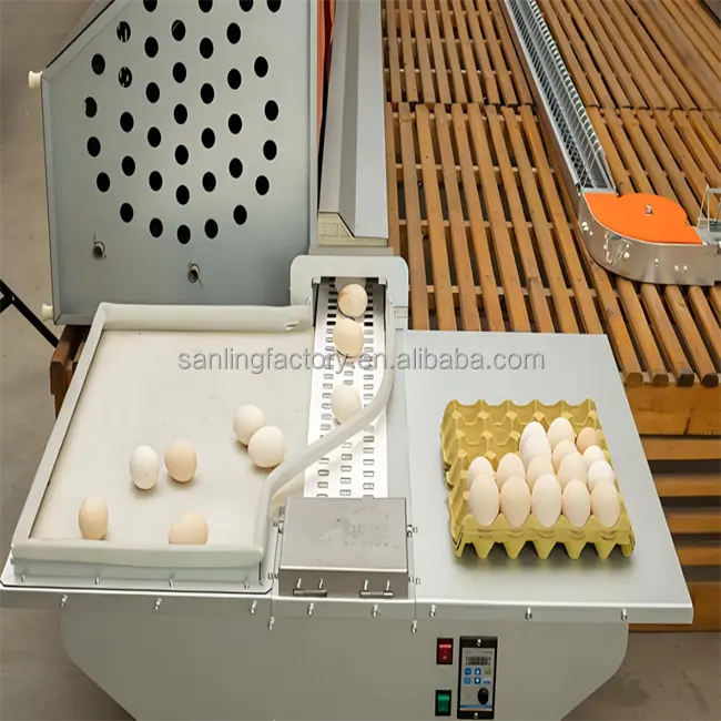 Otomatik çiftlik yumurta hasat tavuk yuva kutusu ücretsiz aralığı kanatlı kafes tipi yumurta üretim sistemi