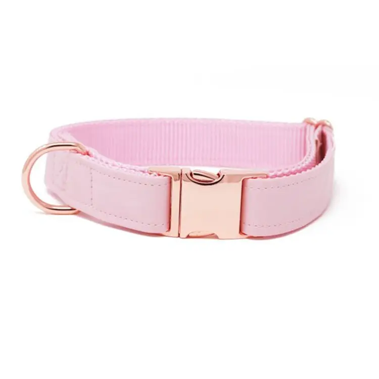 Rose Gold Buckle Faux Leather Dog Collar