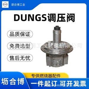 Régulateur de pression de gaz naturel en métal Dungs FRS507 - Product Image 5