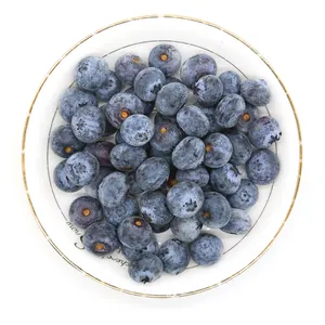 美味甜美的天然IQF蓝莓非常适合批发商和烹饪用途冷冻蓝莓